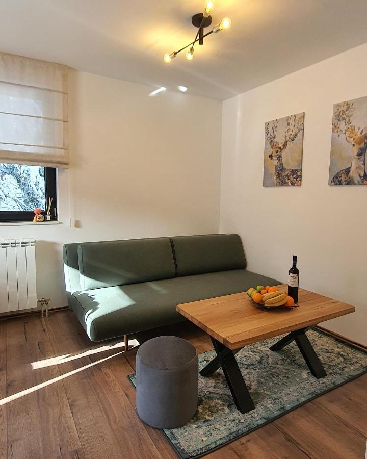 Jahorina Villa In Extérieur photo